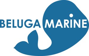 Logo Beluga.srl